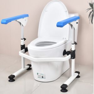 toilet safety rail
