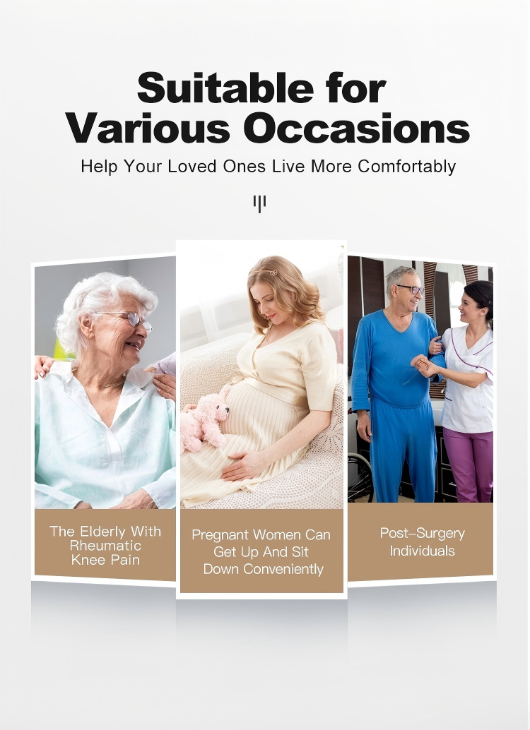 powered toilet lift(plug in)