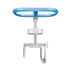 bath safety rail