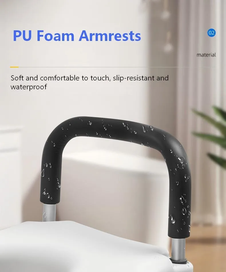 raised toilet seat